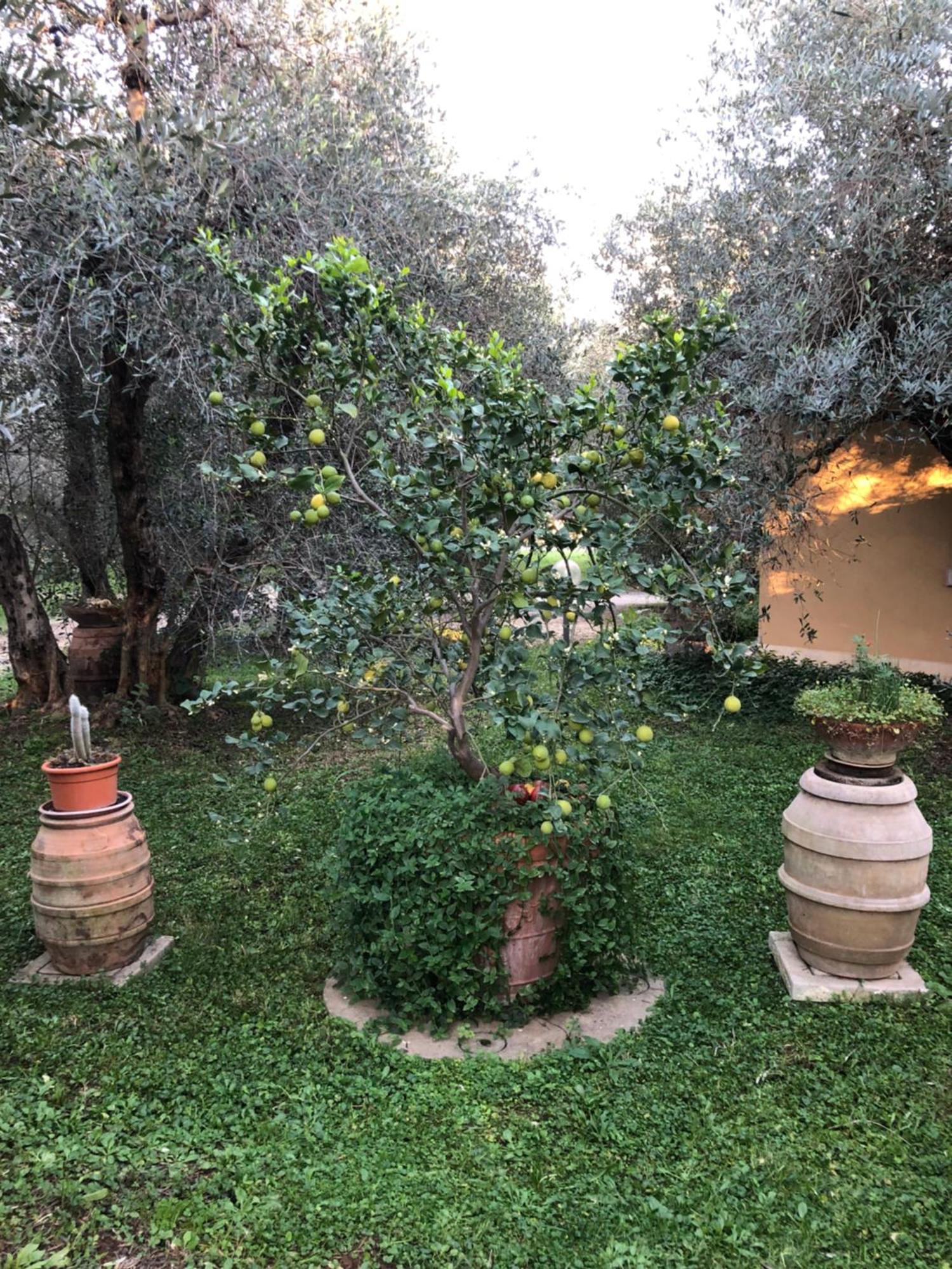 Agriturismo La Canonica Manciano Εξωτερικό φωτογραφία